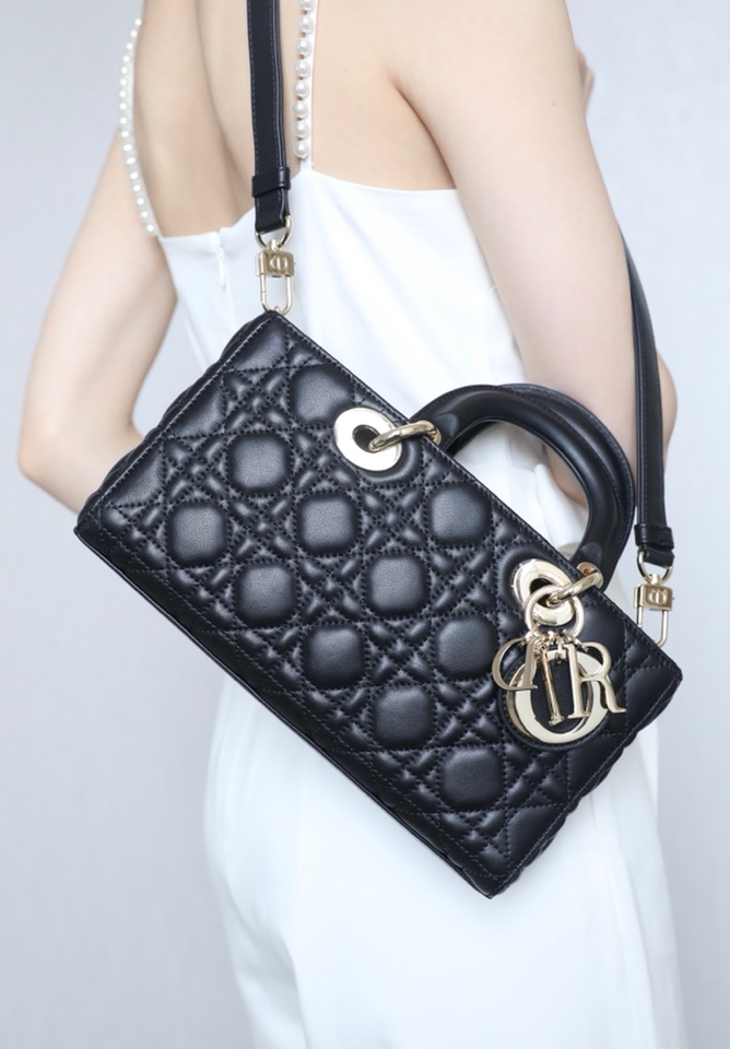 Christian Dior My Lady Bags